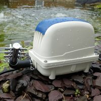 ElectroAir Pond Air Pump 2100