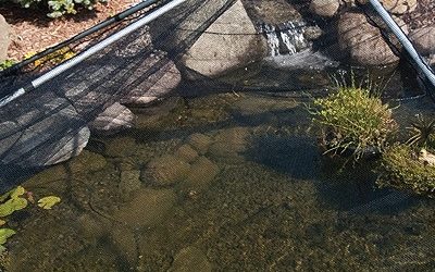 Pyramid Pond Shelter