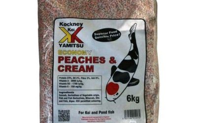 6kg Economy Peaches & Cream
