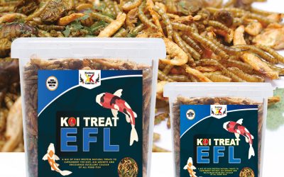 EFL Summer Fish Treat 350gm Tub